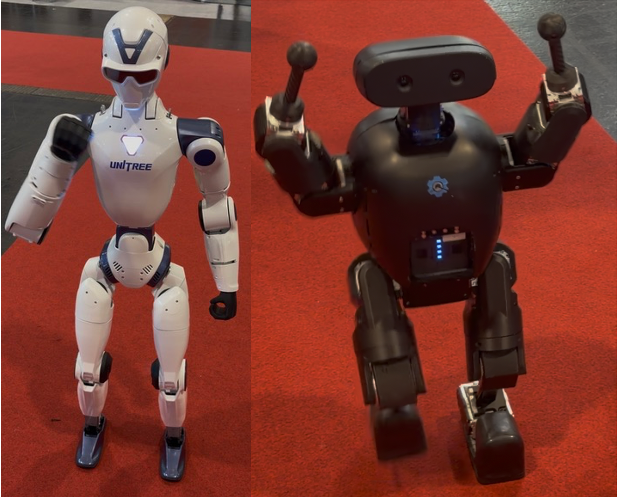 Humanoids